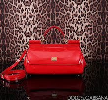 new-elite-designer-bags-nm6964