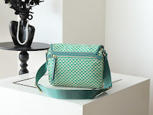 new-luxury-designer-bags-nm2219