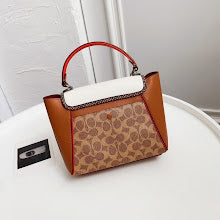new-designer-premium-bags-nm6383