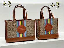 new-luxury-designer-bags-nm6449