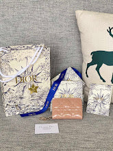 new-luxury-designer-bags-nm7546