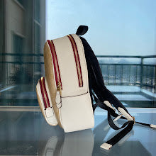 new-designer-premium-bags-nm6387