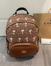 new-designer-premium-bags-nm6278