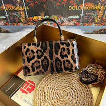 new-designer-premium-bags-nm6845