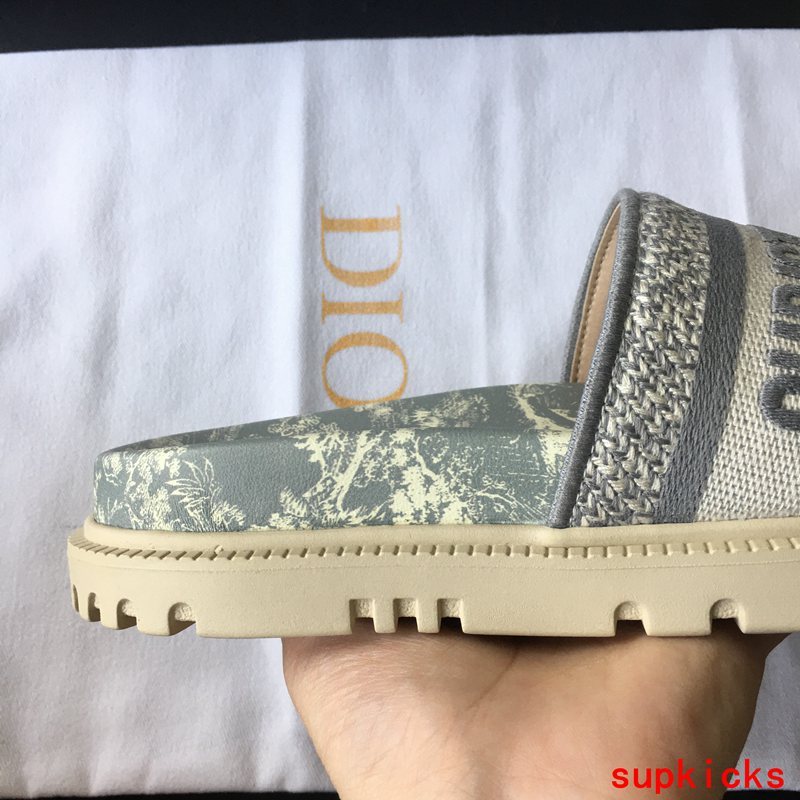 Dior Luxury Shoes