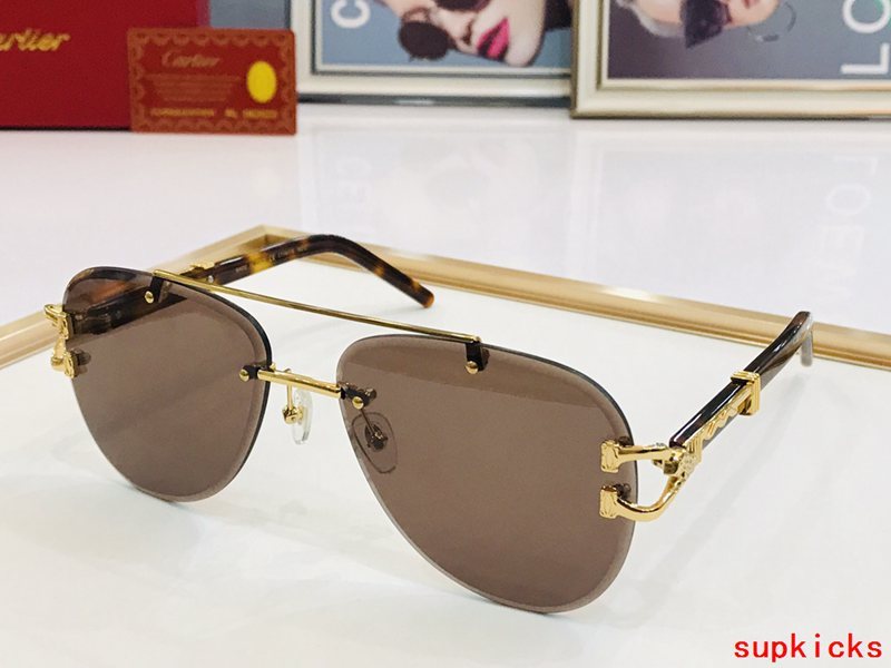 Cartier Luxury Sunglasses