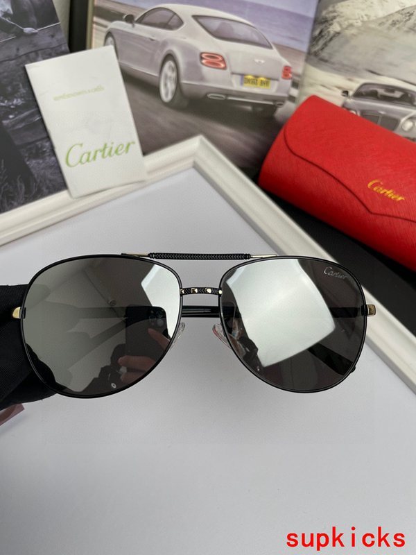 Cartier Luxury Sunglasses