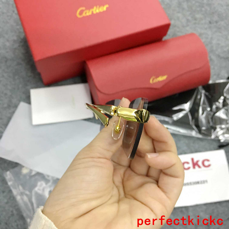 Cartier Luxury Sunglasses