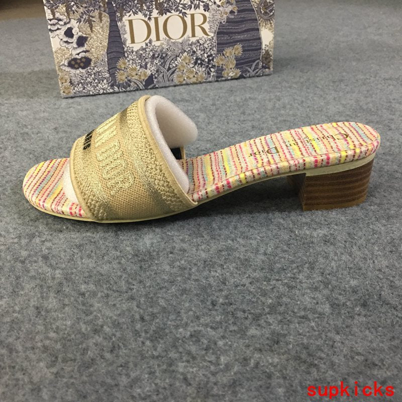 Dior Luxury Shoes