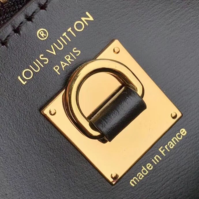 LOV2 Bags - Luxurious Bags  813