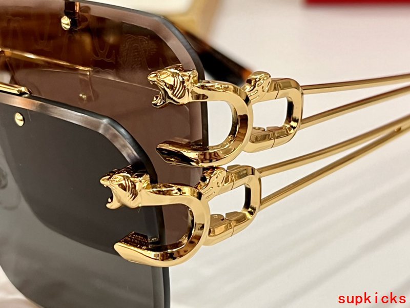 Cartier Luxury Sunglasses