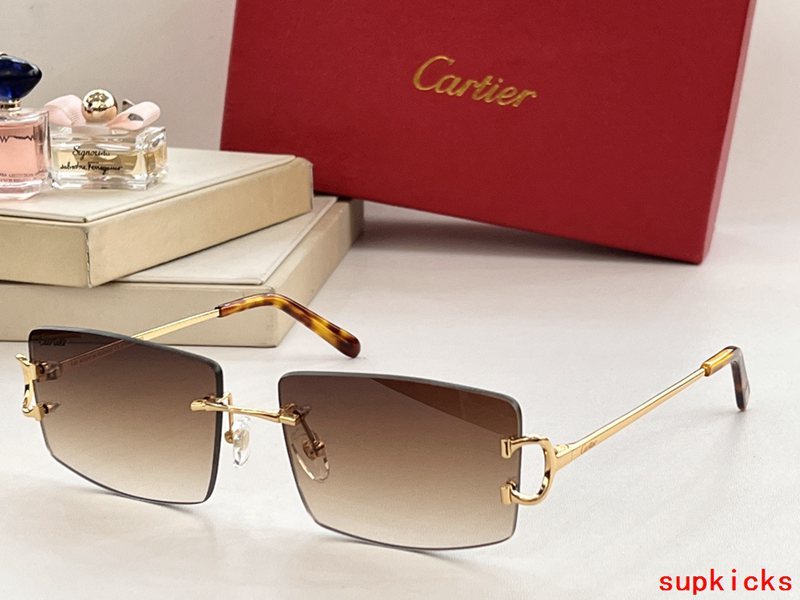 Cartier Luxury Sunglasses