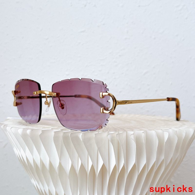 Cartier Luxury Sunglasses
