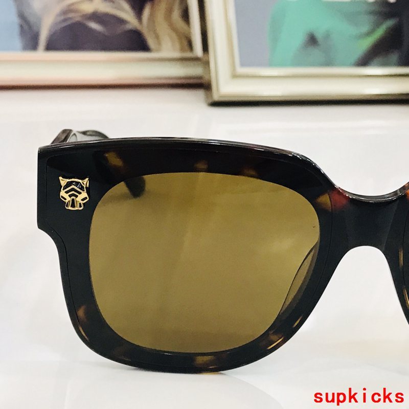 Cartier Luxury Sunglasses