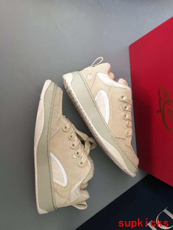 Dior Luxury Shoes