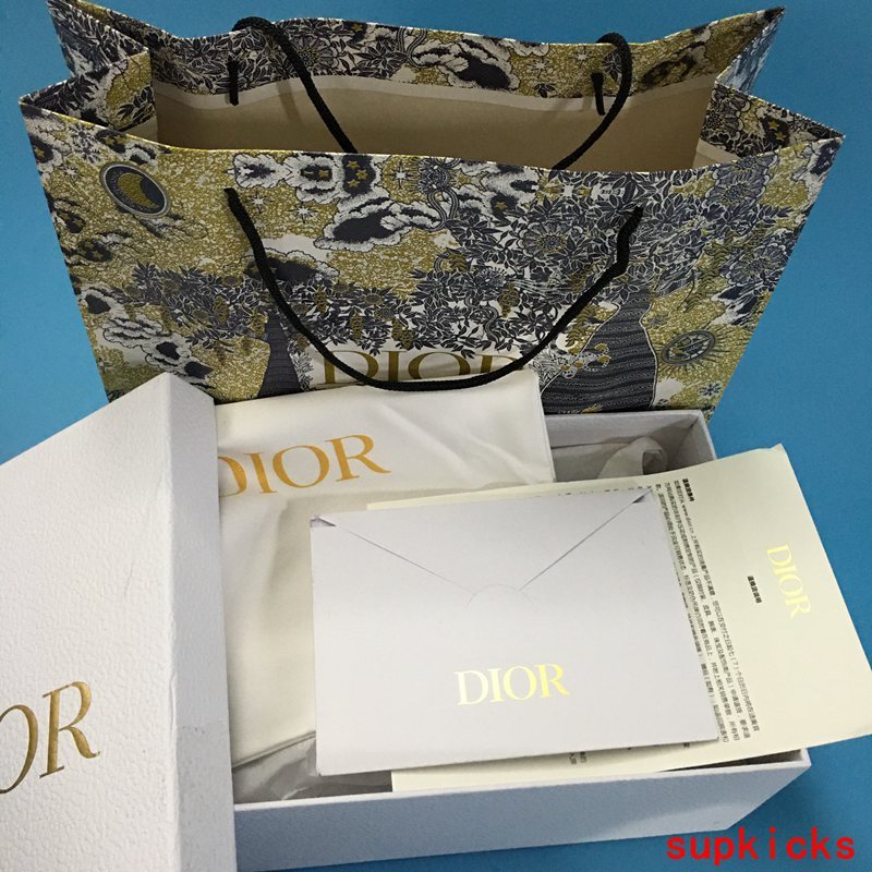 Dior Luxury Shoes