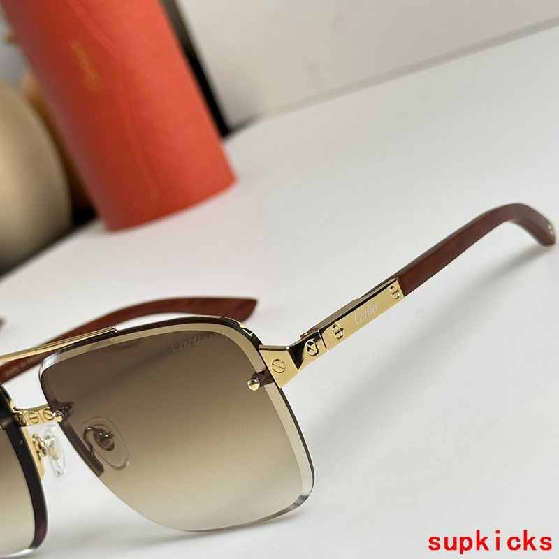 Cartier Luxury Sunglasses