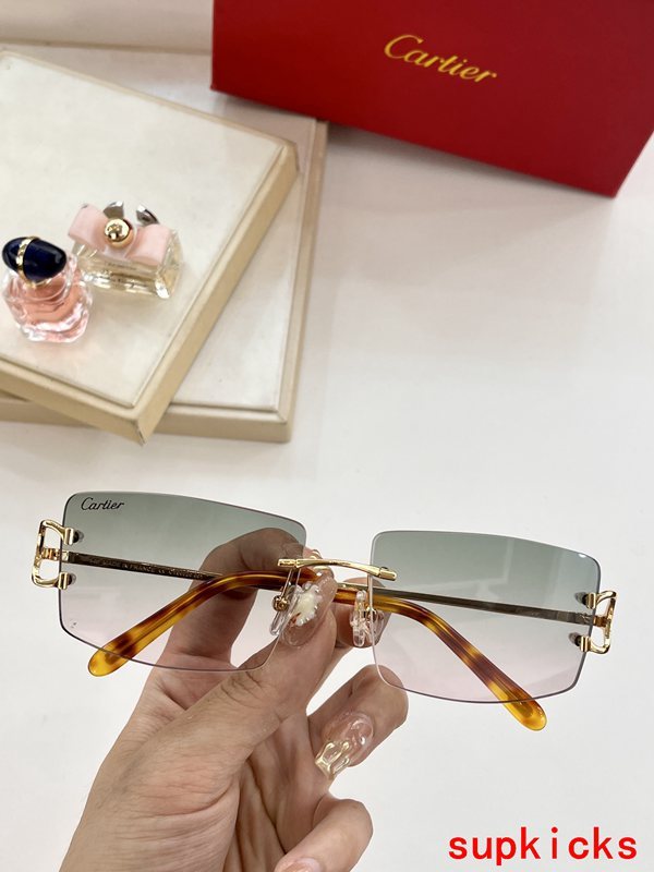 Cartier Luxury Sunglasses
