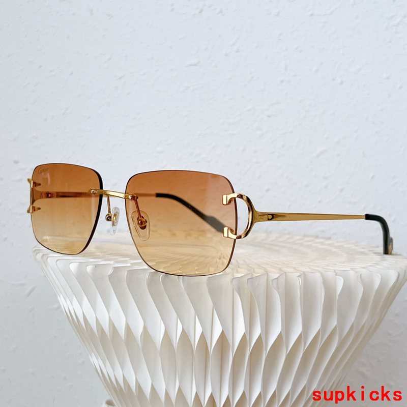Cartier Luxury Sunglasses