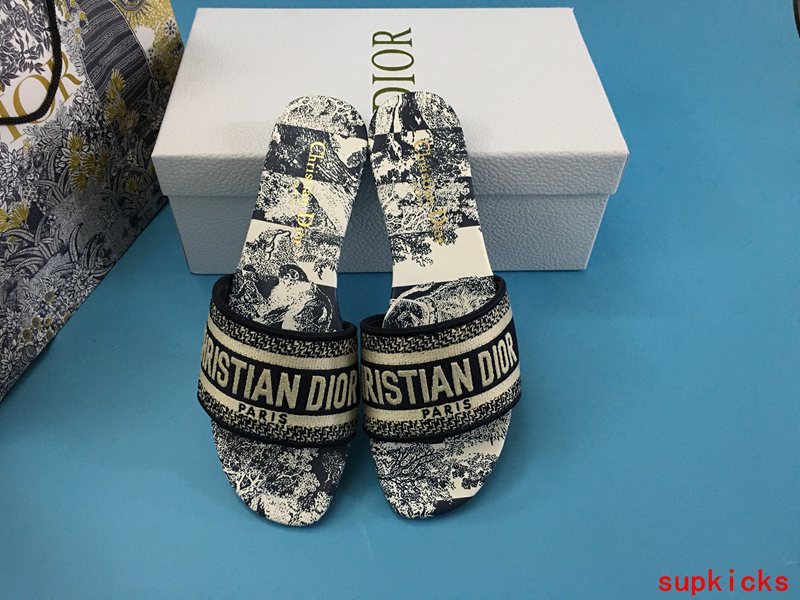 Dior Luxury Shoes
