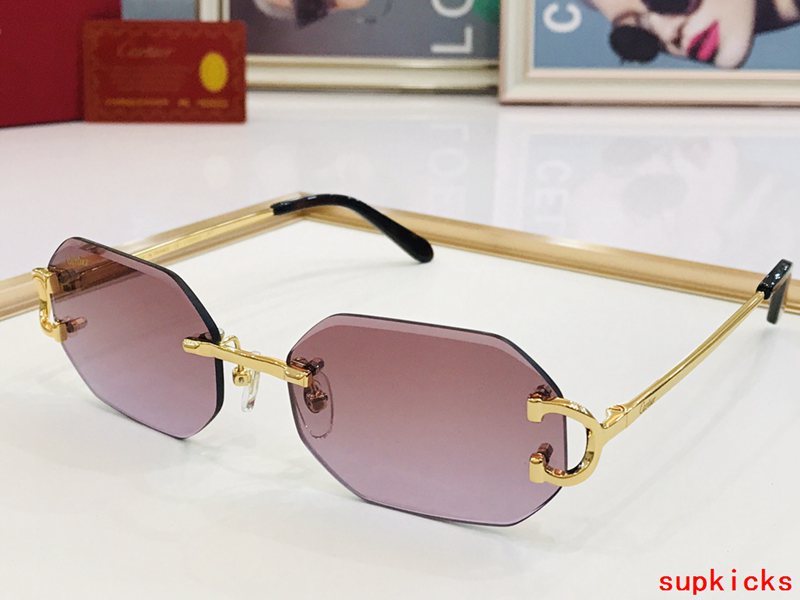 Cartier Luxury Sunglasses