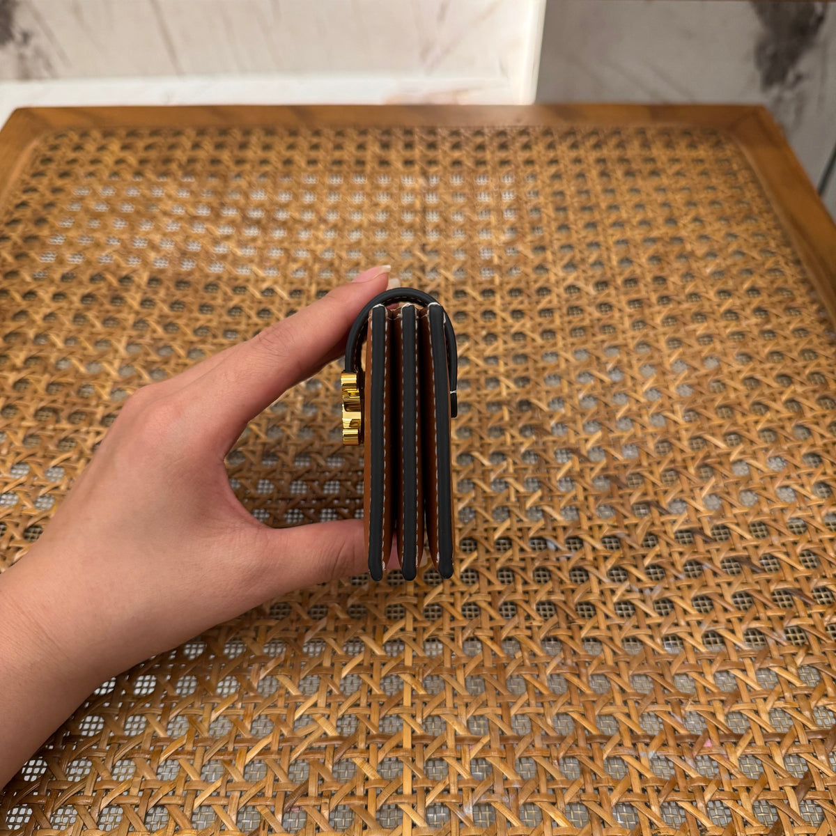 CEL ACCORDEON CARD HOLDER