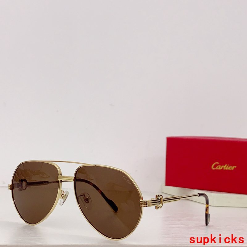 Cartier Luxury Sunglasses