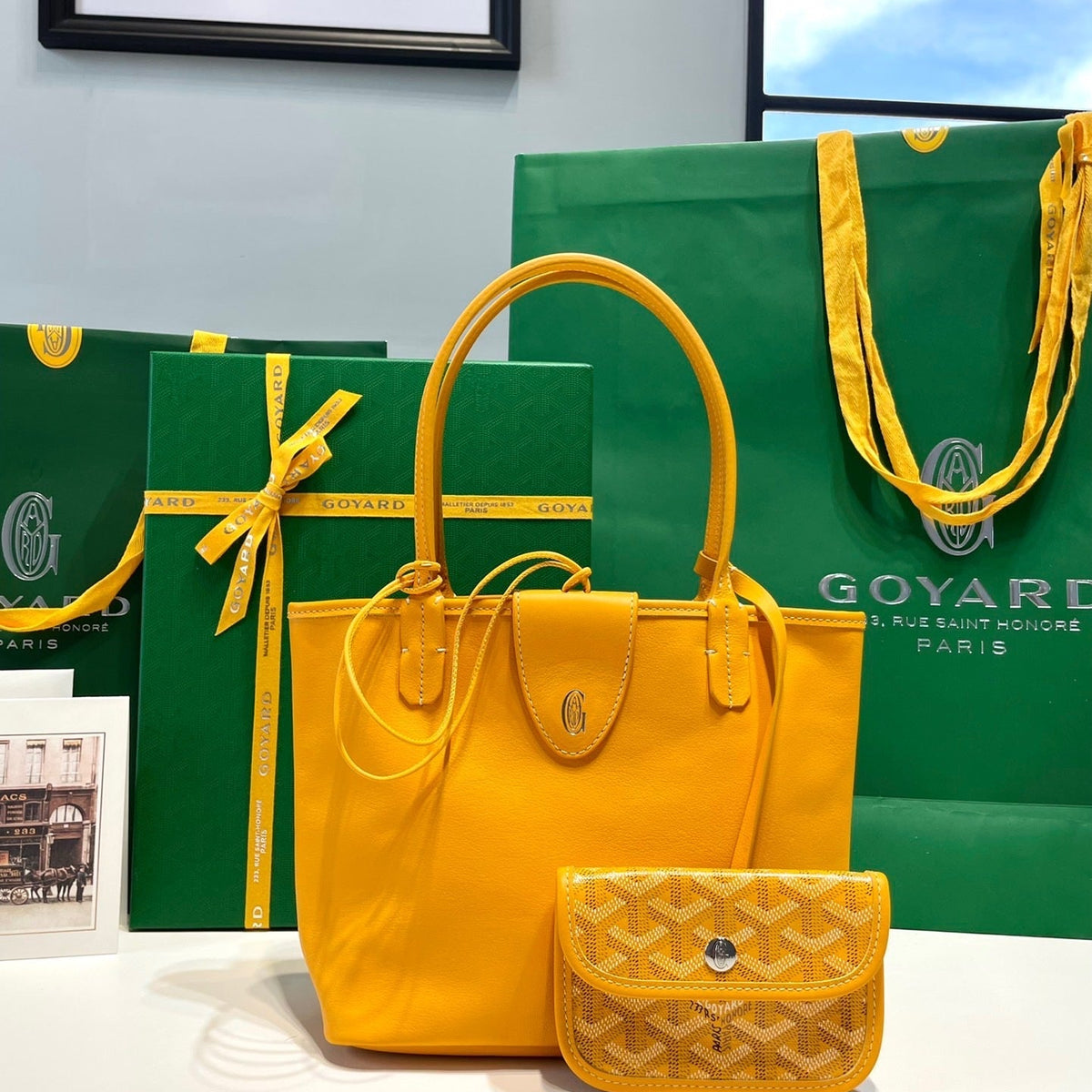 GOYA MINI ANJOU BAG