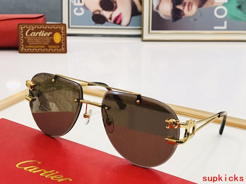 Cartier Luxury Sunglasses