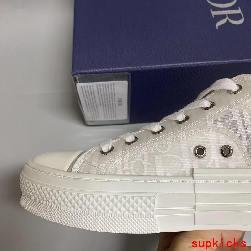 Dior Luxury Shoes