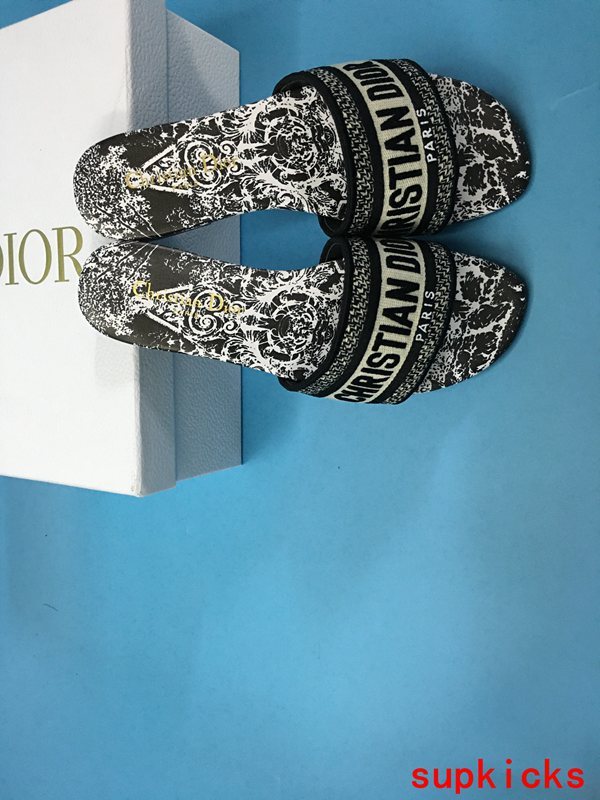 Dior Luxury Shoes