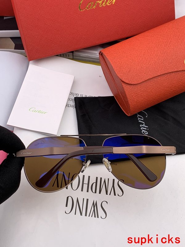 Cartier Luxury Sunglasses