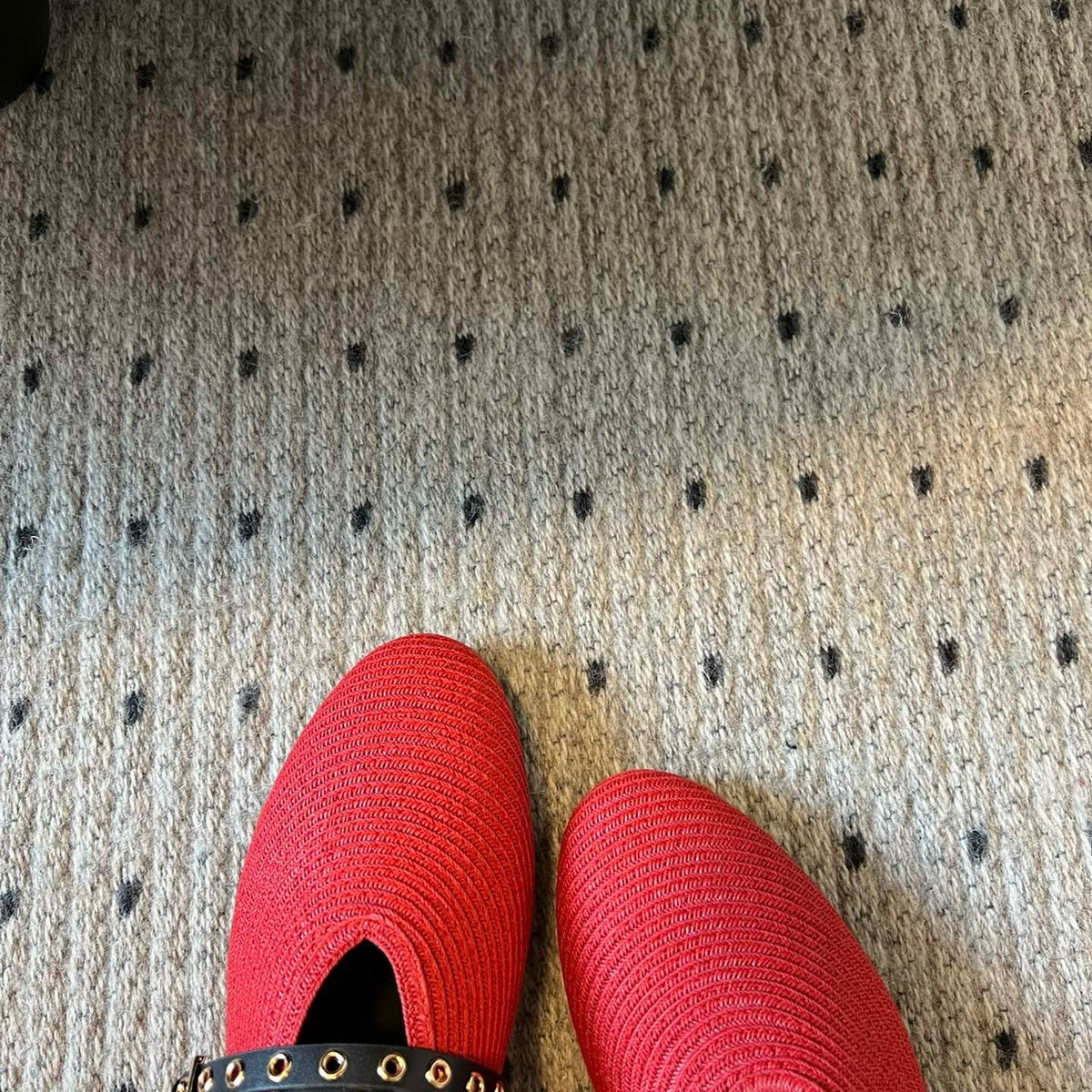 ALAIA BALLET FLATS