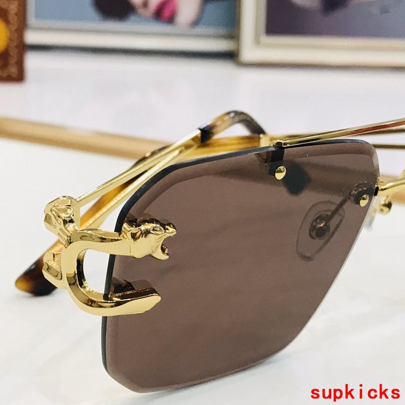 Cartier Luxury Sunglasses