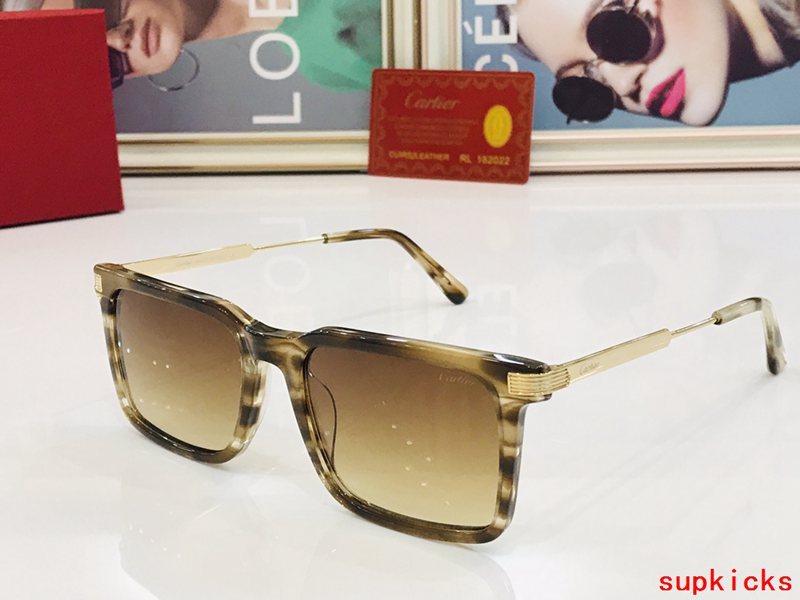 Cartier Luxury Sunglasses