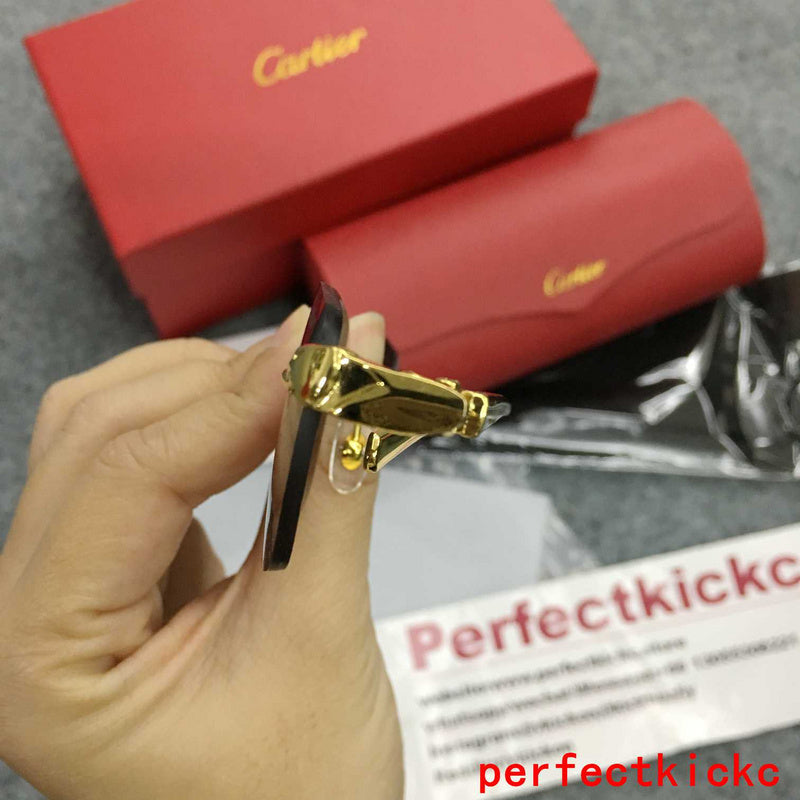 Cartier Luxury Sunglasses