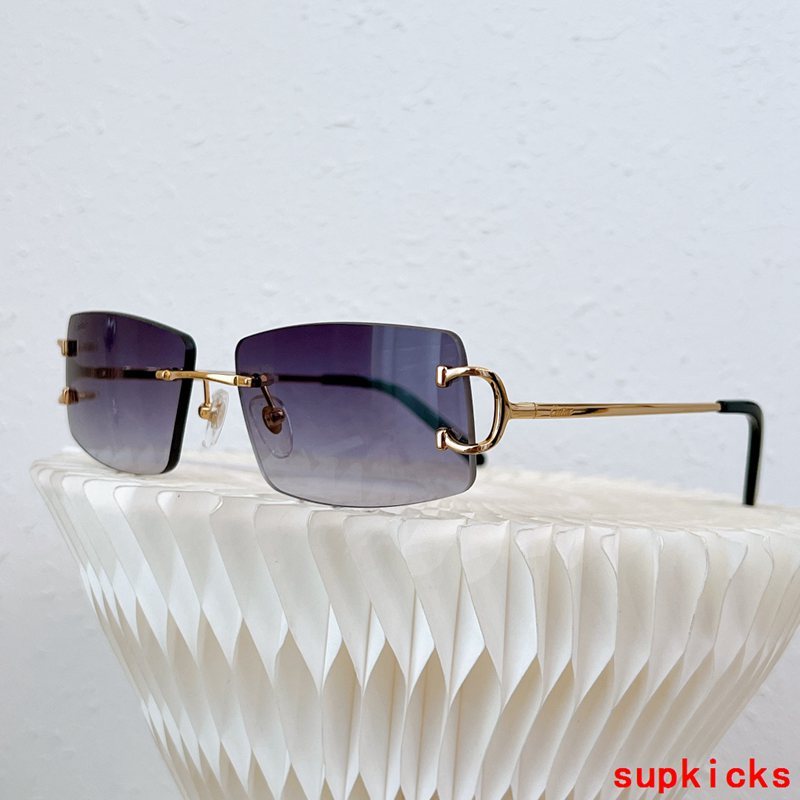 Cartier Luxury Sunglasses