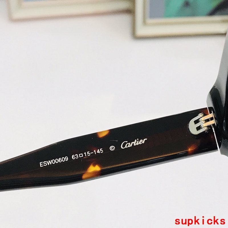 Cartier Luxury Sunglasses