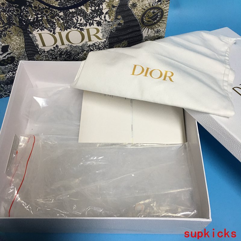 Dior Luxury Shoes