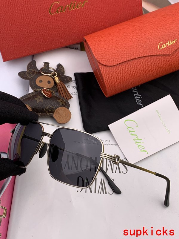 Cartier Luxury Sunglasses