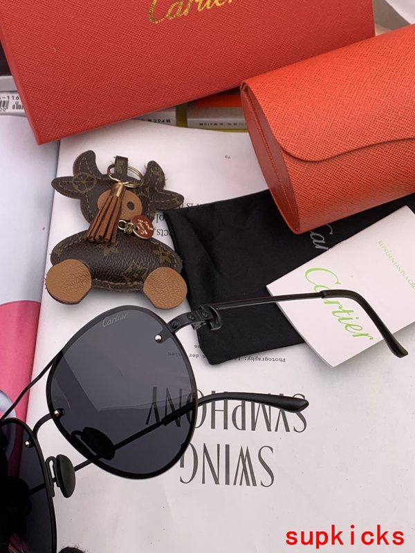 Cartier Luxury Sunglasses