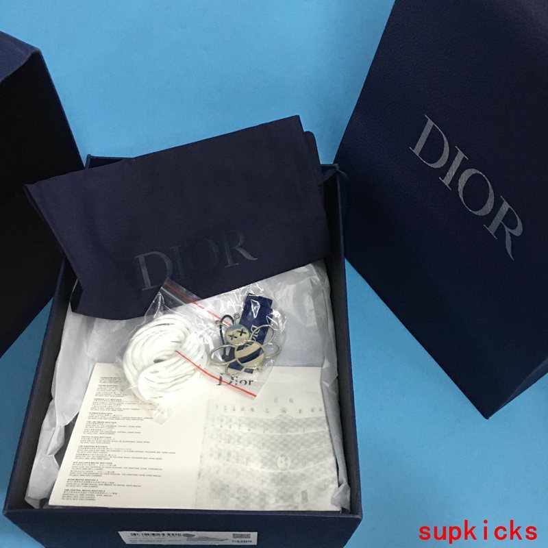 Dior Luxury Shoes