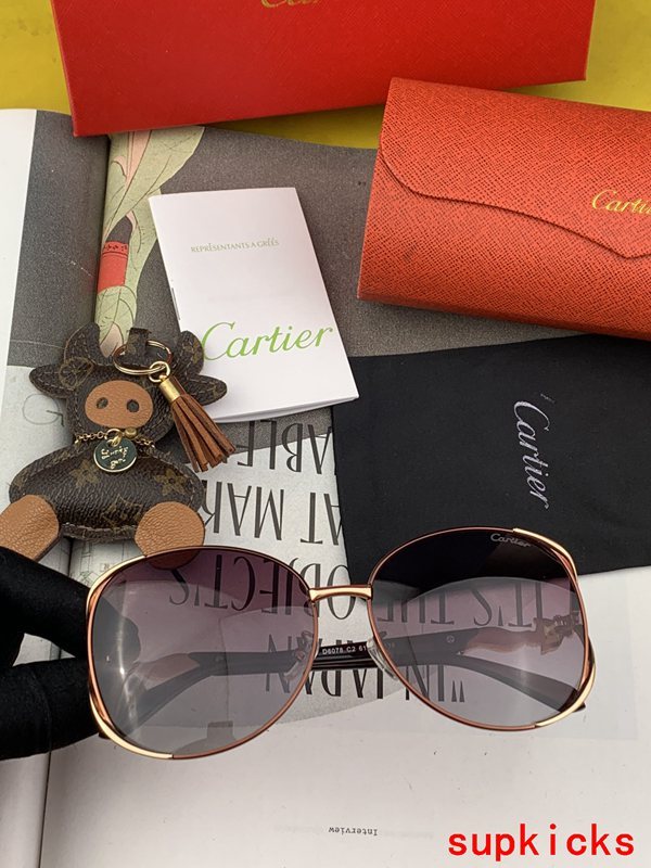Cartier Luxury Sunglasses
