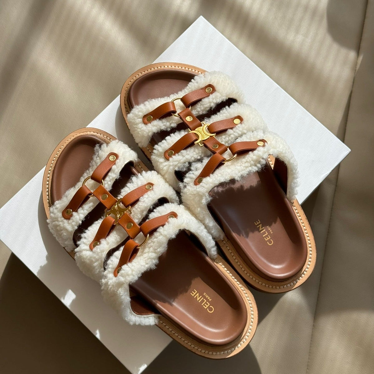 CEL SLIDES