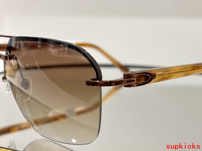 Cartier Luxury Sunglasses