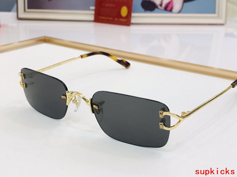 Cartier Luxury Sunglasses