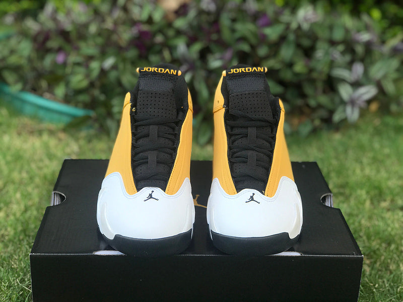 Nike Luxury Shoes