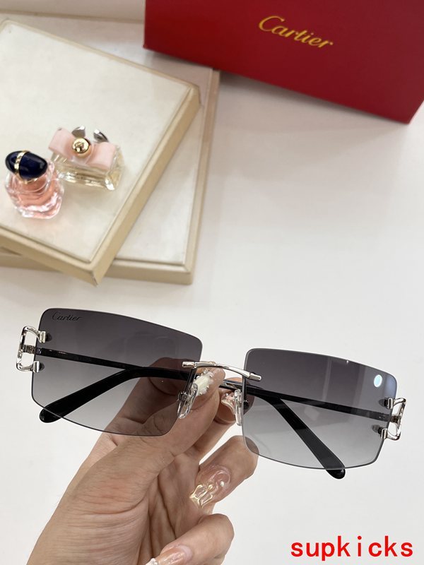 Cartier Luxury Sunglasses