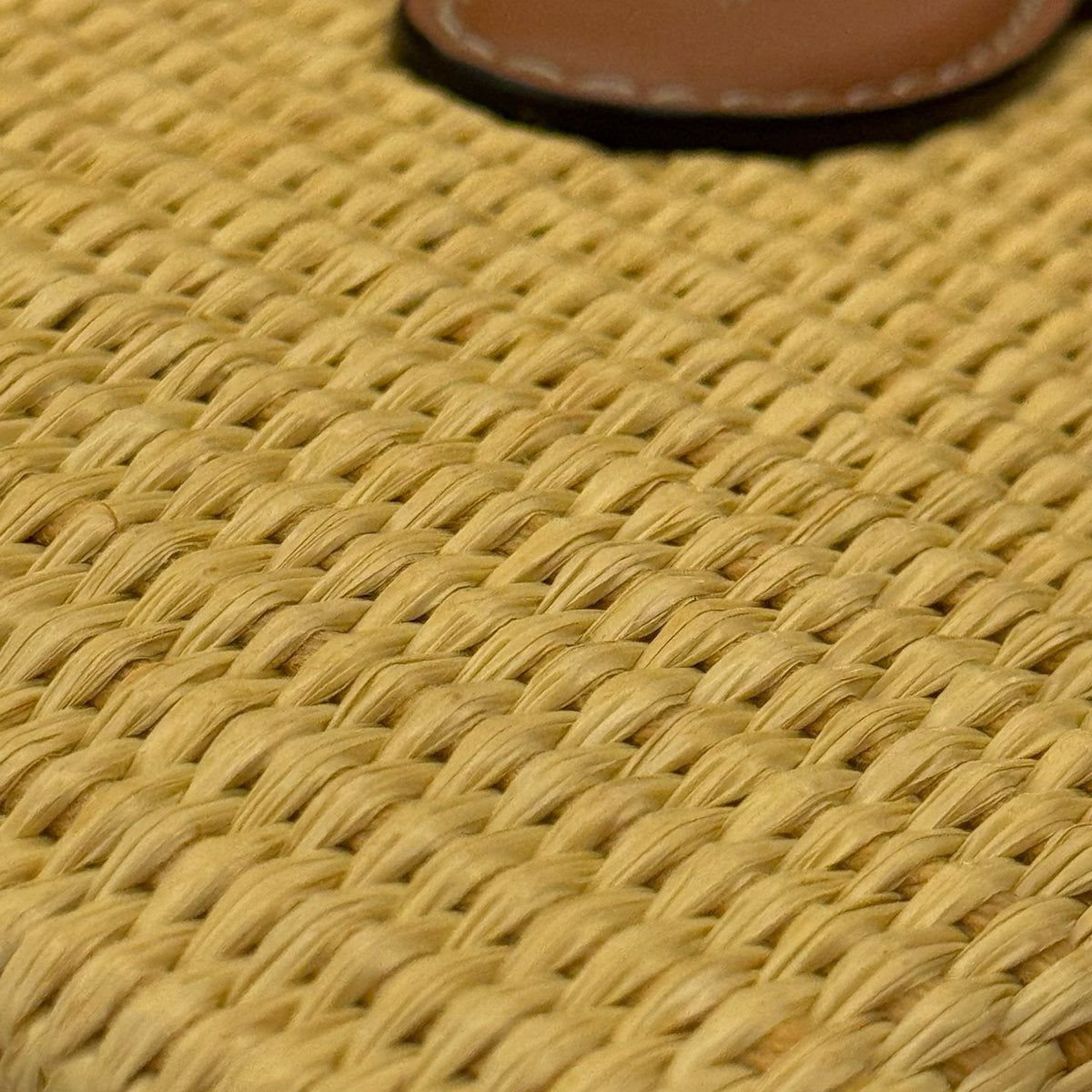 CEL SMALL POUCH WITH STRAP