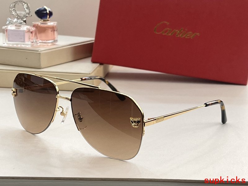 Cartier Luxury Sunglasses